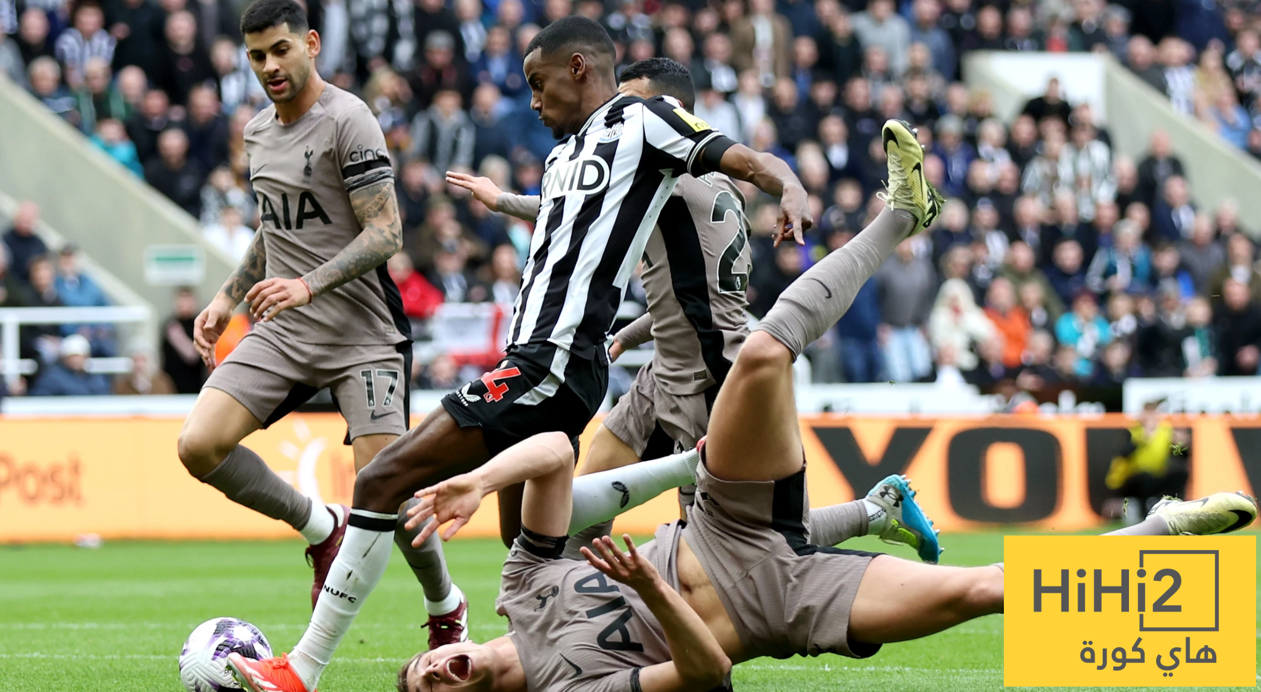 نتائج آخر خمس مباريات بين توتنهام ونيوكاسل يونايتد