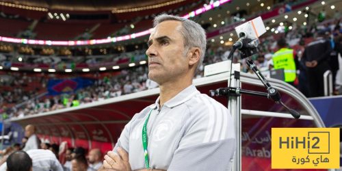 رغم الغياب.. مساعد رينارد يكشف سر انتصار الأخضر على جزر القمر