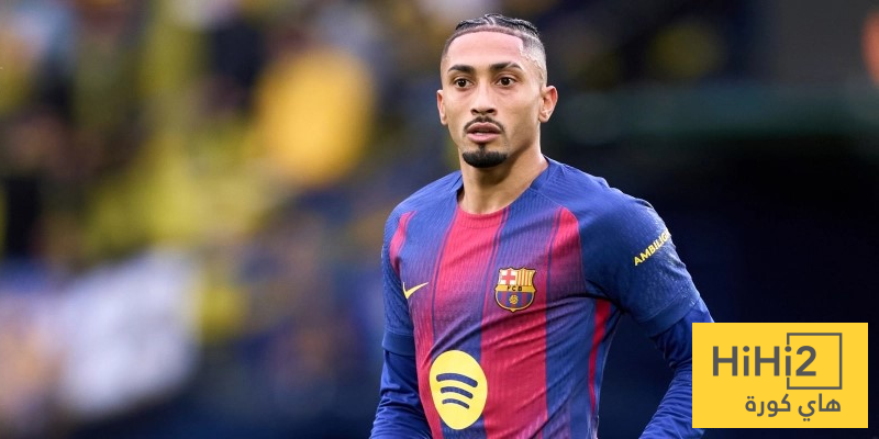 هدايا رافينيا في موسم الأعياد