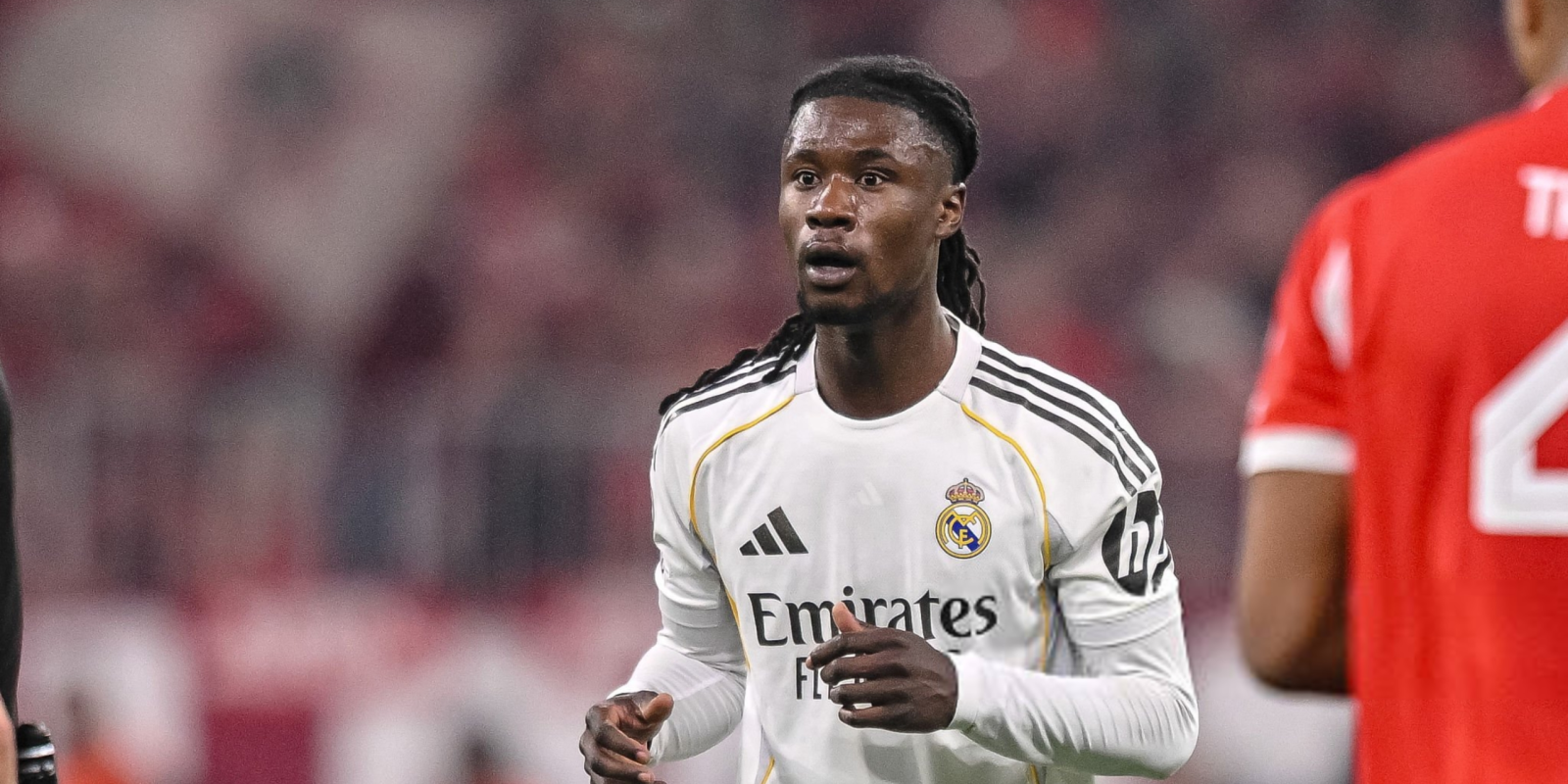 كامافينغا غبي