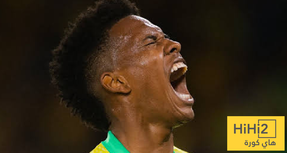 إستيفاو قد يغيب عن كأس العالم 2026